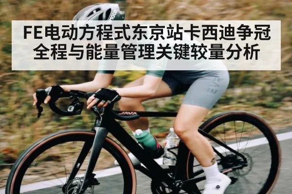 FE电动方程式东京站卡西迪争冠全程与能量管理关键较量分析